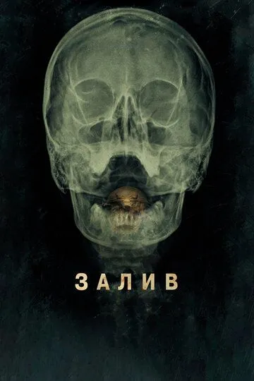 Затока (2012)