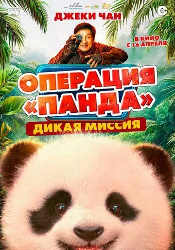 План Панда 2 (2026)