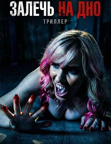 Залягти на дно (2025)